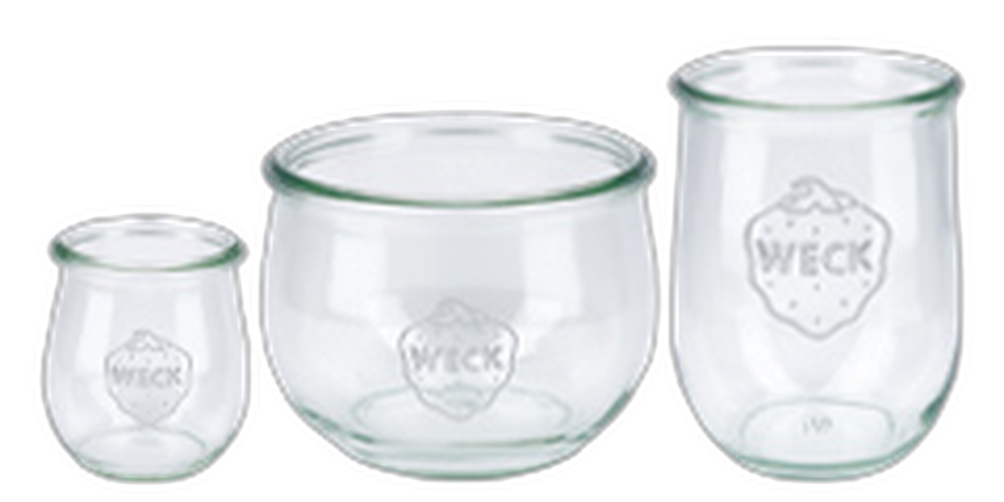 vaso tulipa