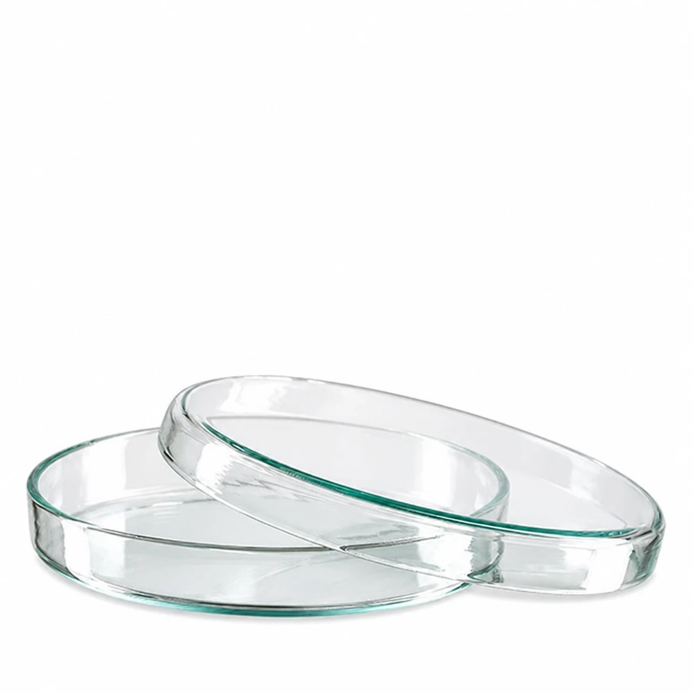 Dos placas de Petri de cristal transparente de 90 x 15 mm apiladas una encima de otra sobre un fondo blanco