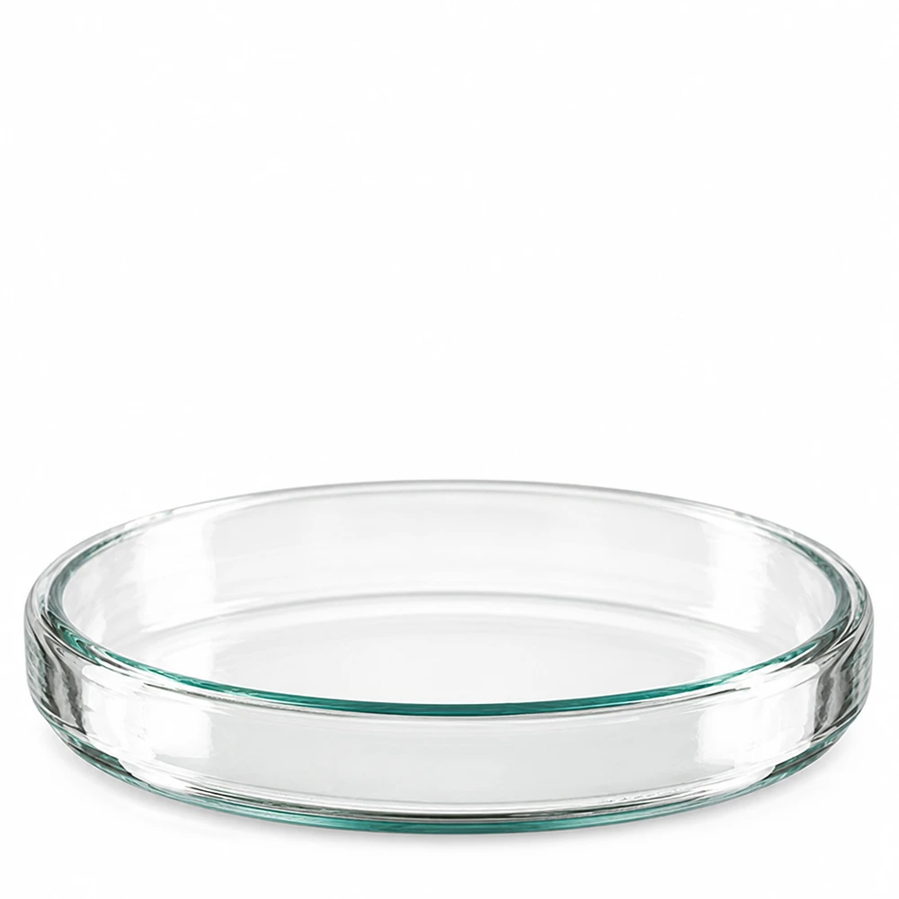 Placa de Petri individual de vidrio borosilicato transparente, de 90 x 15 mm, fotografiada en ángulo desde arriba